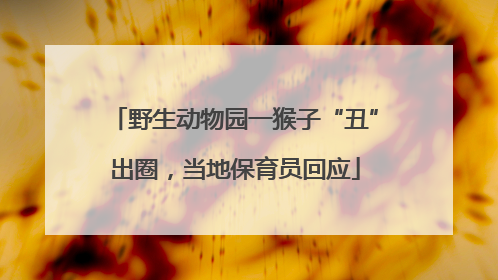 野生动物园一猴子“丑”出圈，当地保育员回应
